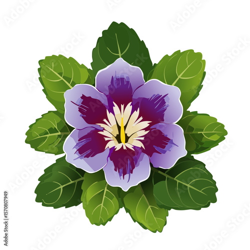Detailed SVG Illustration of a Purple Pansy Flower with Green Leaves
