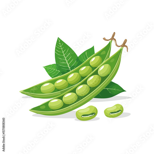 Illustration of Two Open Pea Pods with Peas and Green Leaves