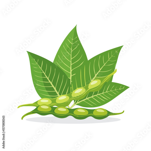 Vector illustration of soybeans and leaves on a black background for digital art