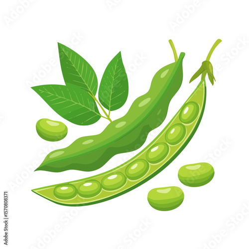 Vector illustration of fresh green soybeans, pods and leaves on black background.