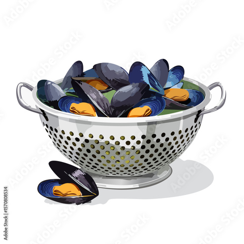 Illustration of Fresh Mussels in a Colander ready to be cooked for a meal