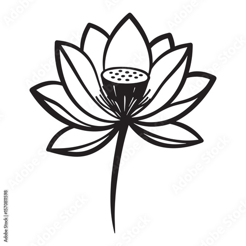 Simple black and white illustration of a delicate lotus flower with seed head