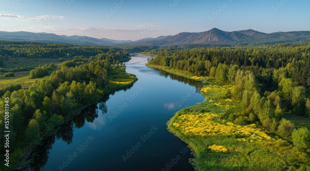 Obraz premium Serene aerial view of a meandering river flowing through lush green forests and yellow wildflowers, nestled between tranquil mountains under a clear blue sky