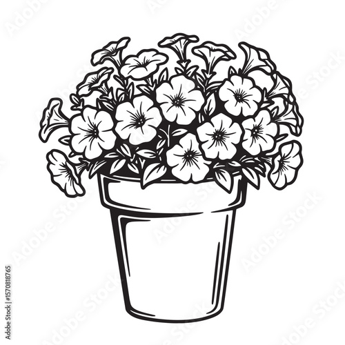 Black and white illustration of petunia flowers blooming beautifully in a simple plant pot