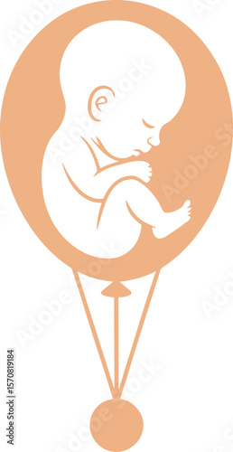 Understanding fetal development stages pregnancy baby growth and milestones