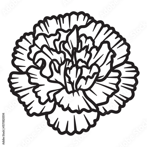 Elegant black and white carnation flower vector illustration for decorative design and floral aesthetics