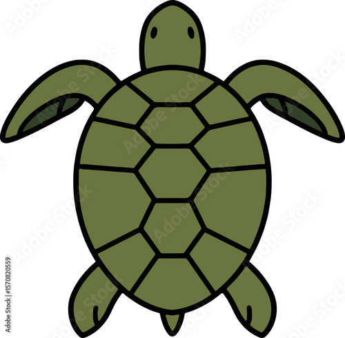 turtle