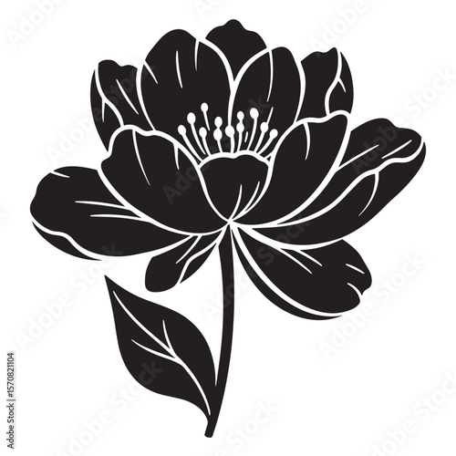 Elegant black and white floral illustration of a blooming flower with detailed petals and leaves