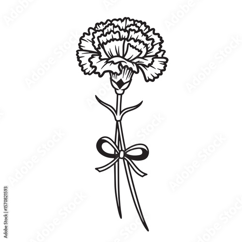 Elegant black and white illustration of a carnation flower tied with a decorative bow