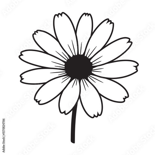 Simple black and white outline illustration of a daisy flower isolated on white background