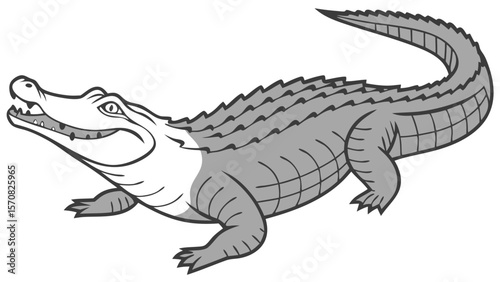 crocodile isolated on white background