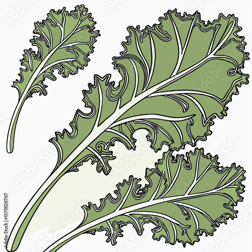 Kale's Leaf: Close-up, detailed, of freshly plucked, verdant kale leaves, showcasing their unique textures and natural forms, an ideal visual for nutrition and fresh food themes.
