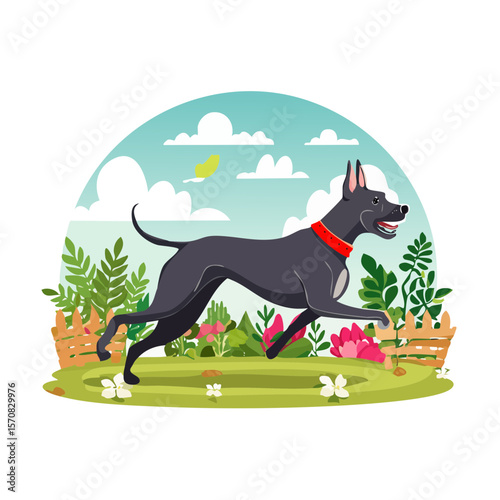 Running Great Dane in a Field, Happy Dog