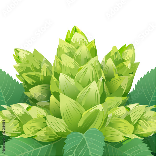 Vector Illustration of a Green Hop Cone with Leaves for Brewing