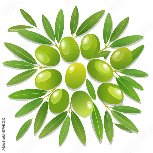 Fresh green olives and leaves on branches