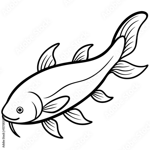 Catfish line art vector