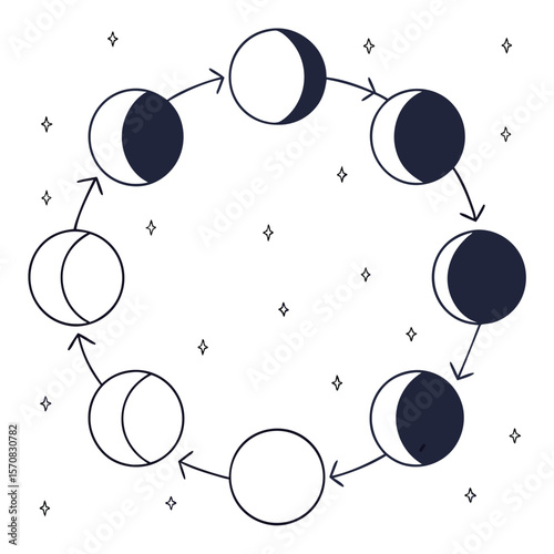 Lunar Cycle Illustration: An artistic portrayal of the moon's phases, a beautiful illustration with a night sky filled with stars. Capturing the celestial rhythm