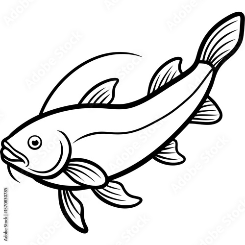 Catfish line art vector