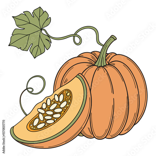 Pumpkin Harvest Delight: An artistic rendering of a plump, inviting pumpkin, complete with a slice revealing its seeds, alongside a verdant leaf.