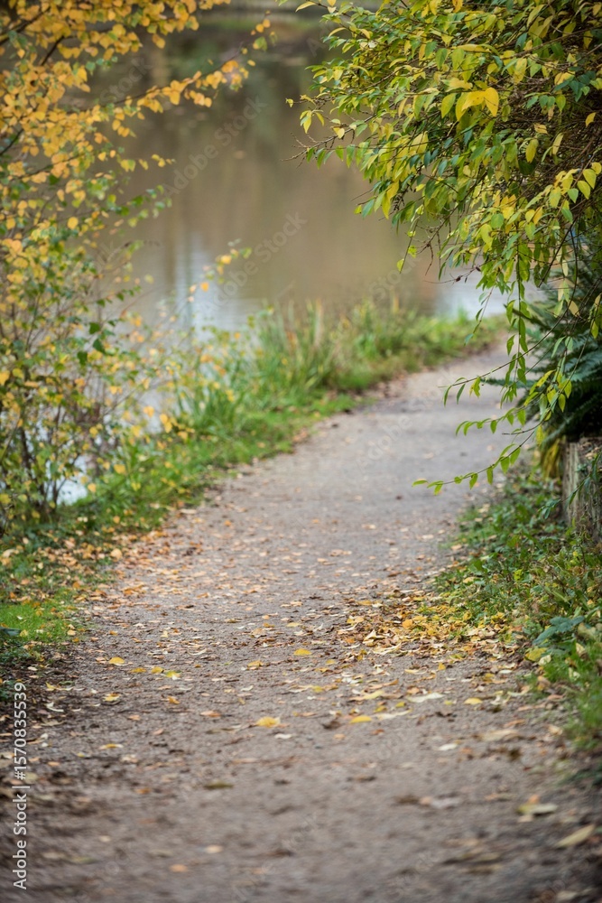 Fototapeta premium Empty footpath amidst planta
