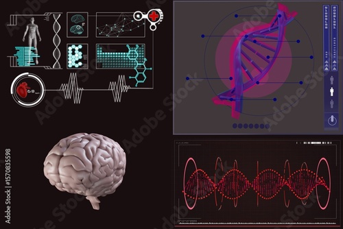 Human brain with various medical reports