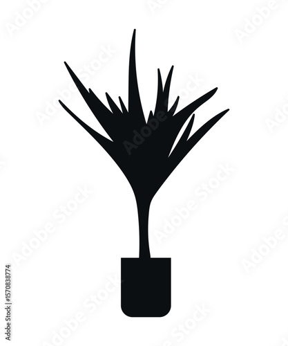 Aloe is tree-like. The silhouette of a plant. Indoor plants. Interior design elements - indoor potted plant for architectural projects of buildings and structures