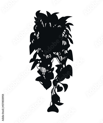 Scindapsus. The silhouette of a plant. Indoor plants. Interior design elements - potted indoor plants for architectural projects of buildings and structures
