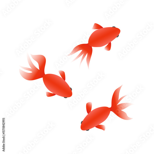 手書きの金魚のベクターイラスト