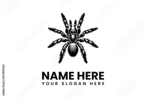 A detailed black and white illustration of a tarantula spider, with text below.