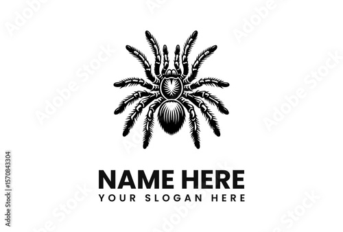 Stylized black and white tarantula logo design, ideal for branding.