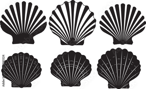 Seashell silhouette vector illustration