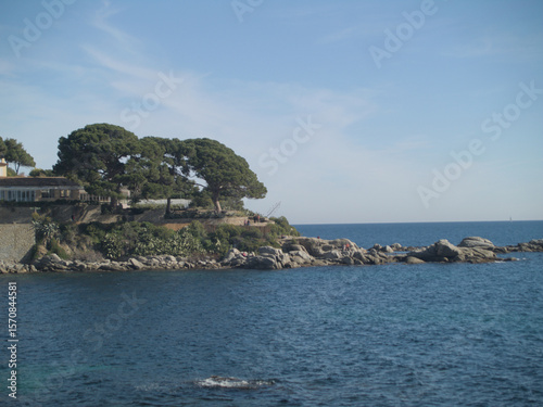 Emerald Shore Reverie