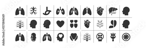 Human Organs Silhouette Icons Set, Anatomy Body Parts Internal Organ Systems Icons