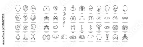 Line art Icon Grid Showing Human Internal Organs on Transparent Background