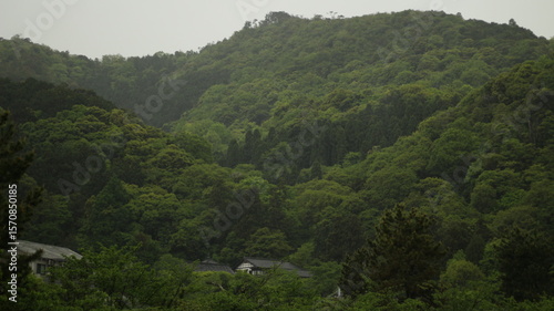 mountain landscape with trees