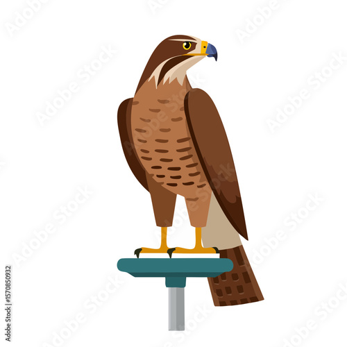 Illustration of a falcon perched on a stand with a black background.