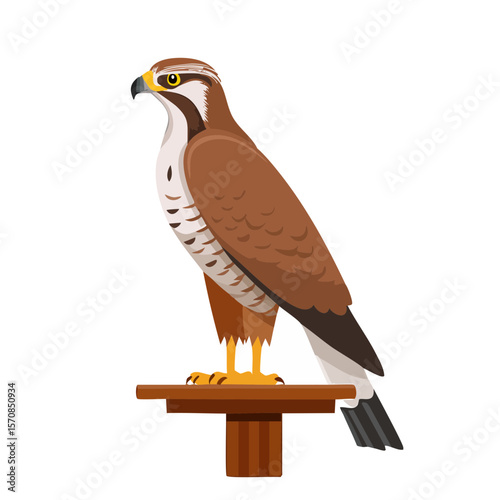 Vector Illustration of a Hawk on a Perch against a Black Background