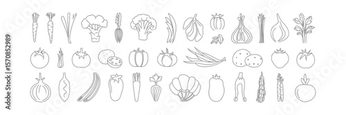 Vegetable Outlines with Carrots, Tomato, Onion, Broccoli, and Potatoes