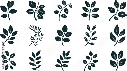 Vector art of collection of various leaves isolated on white background