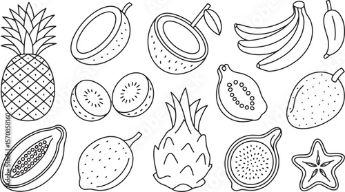 Delicious Tropical and Exotic Fruits Outline Art