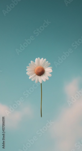 Beautiful daisy flower against a clear blue sky with soft clouds in the background, creating a serene atmosphere