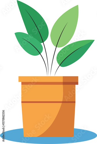 Vibrant potted plant with green leaves, displayed against a white background.