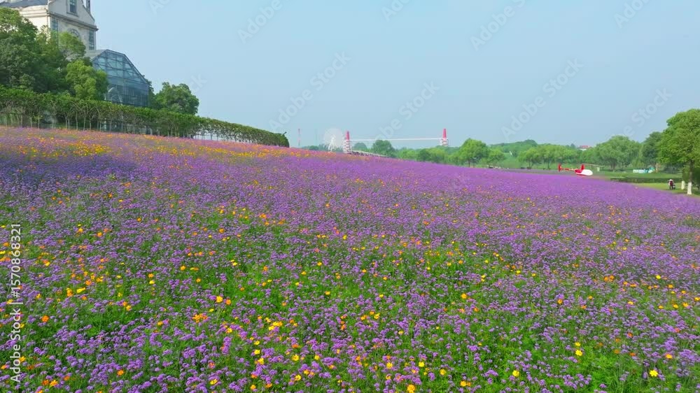 Wuhan Hua Bo Hui Scenic Spot Spring Scenery
