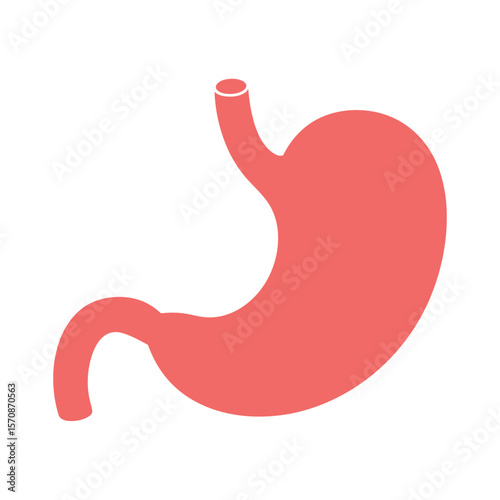 A simple, minimalist illustration of a human stomach in a solid coral pink color against a pure white background