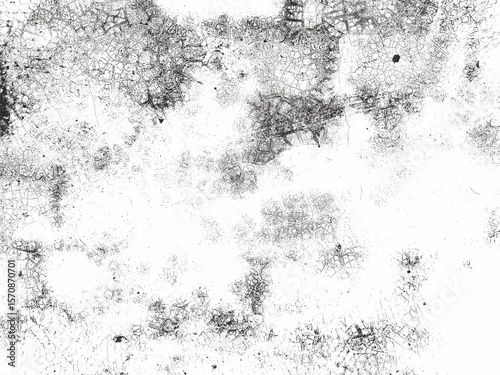 Wallpaper Mural High-Contrast Grunge Wall Texture with Cracks and Dust – Black and White Distressed Background.Black and white grunge wall texture featuring cracked paint, dust splatter, and distressed surface effect Torontodigital.ca