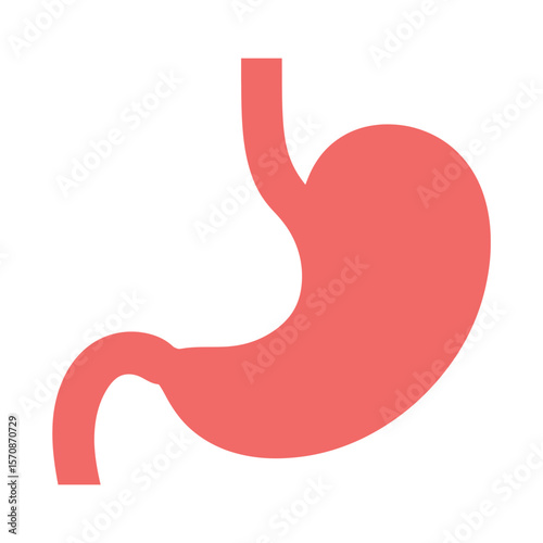 A simple, minimalist illustration of a human stomach in a solid coral pink color against a pure white background