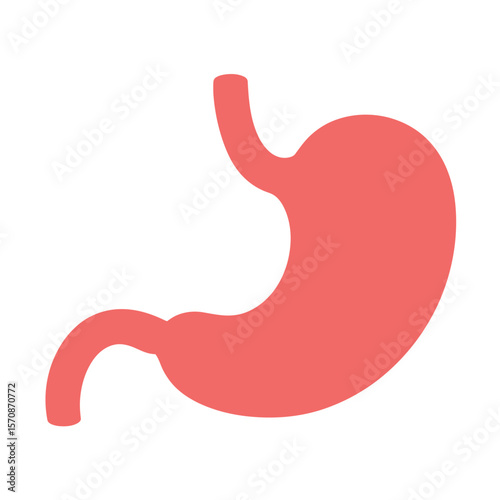 A simple, minimalist illustration of a human stomach in a solid coral pink color against a pure white background
