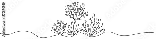 Seaweed icon. Continuous one line drawing of seaweed. Seaweed in one line style, isolated on white background. Vector illustration.