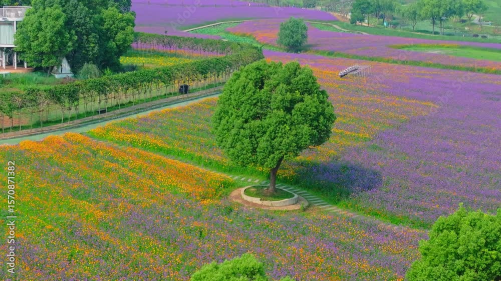Wuhan Hua Bo Hui Scenic Spot Spring Scenery