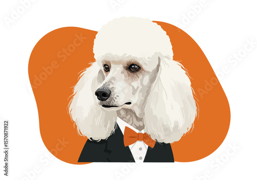 Elegant portrait of a white Poodle with a classic haircut.